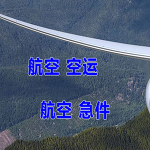 临沂启阳航空邮寄快递-选东方航空和上海航空