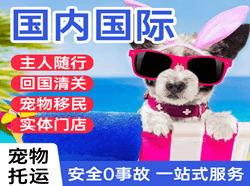 临沂启阳航空邮寄国际宠物托运 【国